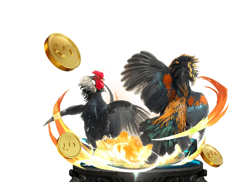 Lịch sử phát triển Kèo Nhà Cái3